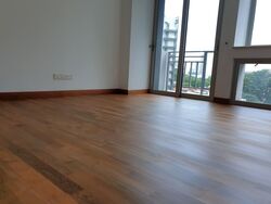 Cairnhill Crest (D9), Condominium #553666521